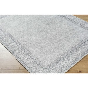 Hauteloom Cloris Living Room, Bedroom Machine Washable Area Rug - Traditional, Transitional - 1 of 4