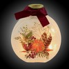 Stony Creek 4.5 Inch Fall Foliage Rounf Jar W/ Rope Pre-Lit Light Glass Pumpkin Novelty Sculpture Lights - 3 of 3