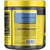 Cellucor C4 Ripped Pre-Workout Energy Powder - Arctic Snow Cone - 8.7oz - image 3 of 3