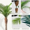 CORE ELECTRO 2-Pack 7ft Tall Artificial Palm Trees in Black Pots – UV-Resistant Faux Tropical Plants for Outdoor Patio & Indoor Decor - 4 of 4