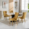 Set of 2 Beige Tufted Solid Wood Contemporary Velvet Upholstered Dining Chair with Golden Stainless Steel Plating Legs and Nailhead Trim - 2 of 4
