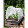 Gardener's Supply Company Adjustable Super Hoops Garden Plant Cover | Sturdy Powder Coated Metal Frame for Raised Bed Vegetable Planter Box Netting - 2 of 4