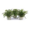 Potted Fern Plants – 14" Tall – Set of 3 Faux Green Ferns in Grey Pots for Indoor or Covered Outdoor Use By Melrose - 3 of 3
