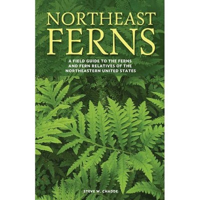 Northeast Ferns - by  Steve W Chadde (Paperback)