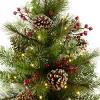 National Tree Company 24" Pre-lit Iced Berry Mini Artificial Christmas Tree with White LED Lights and Burlap Base - 2 of 4