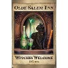 Trends International Lisa Parker - Absinthe Witches Welcome Unframed Wall Poster Prints - 4 of 4