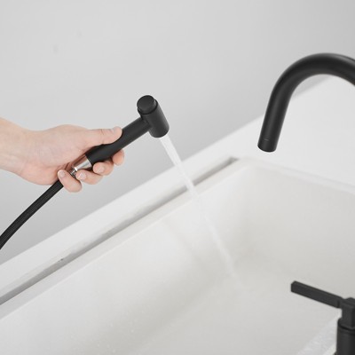 Modern Black Double Handle Bridge Kitchen Faucet with Side Sprayer