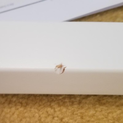 Guest review image 3 of 4, zoom in