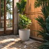 Rosemead Home & Garden, Inc. Concrete Outdoor Planter Pot Beige 14"x14" - 2 of 4