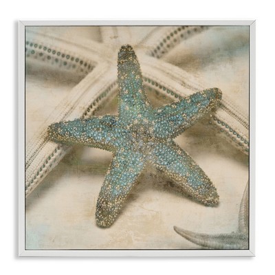 Stupell Industries Distressed Texture Starfish, 17" x 17"