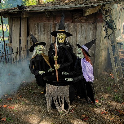 Seasonal Visions Animated Lunging Haggard Witch Halloween Decoration - 6 Ft - Black : Target