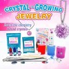 LIVEVIE Crystal Growing Jewelry Kit – DIY 6 Sparkling Pieces for Kids, Fun Science & Creative Learning - 4 of 4