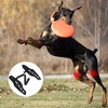 Pet Dog Knee Brace Adjustable Size Reflective Design Elastic Shoulder Strap Hind Legs Protective Cover - 2 of 4