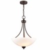 Millennium Lighting Ivey Lake 3 - Light Pendant in  Rubbed Bronze - 4 of 4