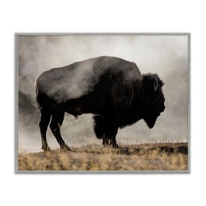 Stupell Industries Powerful Bison Grazing Foggy Rural Pasture Photography Framed Giclee Art, Gray, 30" x 24" - 1 of 4