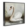 Stupell Industries Swan in Pond Painting Framed Giclee Art - 2 of 4