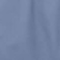 periwinkle