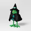Featherly Friends™ Bad Witch Bird Figurine - Hyde and EEK! Boutique™ - 3 of 3
