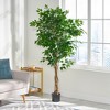 5.9ft Artificial Ficus Tree, Realistic Texture Ficus Tree, Tall Potted Ficus Tree With Glossy Leaves Twisted Trunk - image 4 of 4