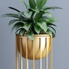 Angel Sar 23.6 Inch Gold Plant Pot, Modern Metal Planter with Stand for Indoor Plants, Living Room Decor, Minimalist Flower Pot - 2 of 4