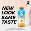 Gatorade Fit Electrolyte Beverage, Tropical Mango - 16.9 Fl Oz Bottle (Pack of 12) - 2 of 3