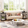 GOCAPTAIN 3 Tier End Table with Storage, Side Table Sofa Couch Table, Night Stand Storage Shelf with Durable Metal Frame for Living Room, Bedroom - 4 of 4