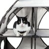 Munora Kitty-Play Obstacle Travel Collapsible Soft Folding Pet Cat House - 3 of 4