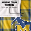 Mcneese State University Campus Plaid Spirit Silky Touch Super Soft Throw Blanket 50x60 - 4 of 4