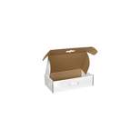 The Packaging Wholesalers 18-1/4x11-3/8x4-1/2 Carrying Case w/Plastic Handle BSMFLECC4