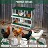 Nesting Boxes for Chickens, Metal Roll Out Laying Nest Box with Perch, Secure Lid Wall Mount or Free Standing - 4 of 4