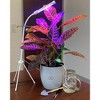 Tierra Garden Plant Deluxe 5 Piece Kit - Two Plant Alarms, one Grow Light, Grooming Kit and Spike Water Kit - 2 of 4