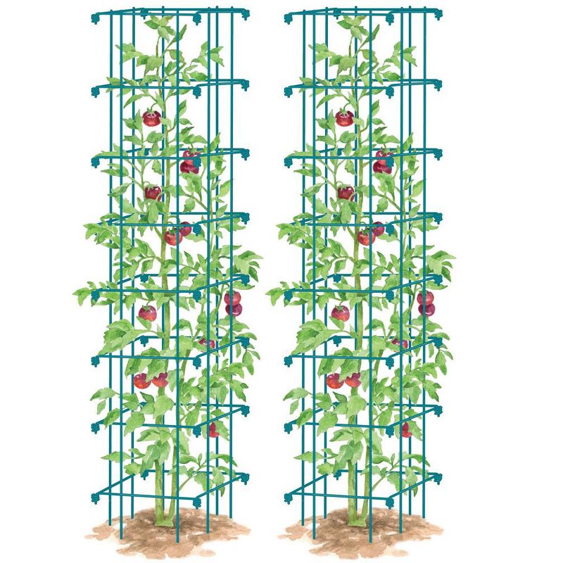 Square Heavy Gauge Extra Tall Easy Fold Tomato Cage, 14.25" x 14.25" x 65", Set of 2, 4 of 5