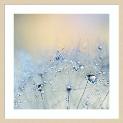 Ice Blue Nature Photography in Svelte Natural Wood Frame
