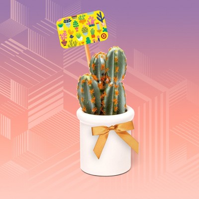 Ideas To Fancy-Up Those Gift Cards. : Target Finds