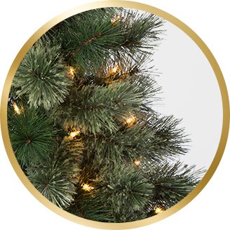 Image result for christmas trees