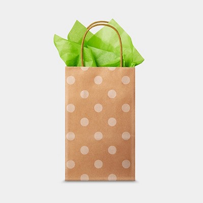 Orange Paper Bag With Blue Ribbon Handles With Box and Gift 