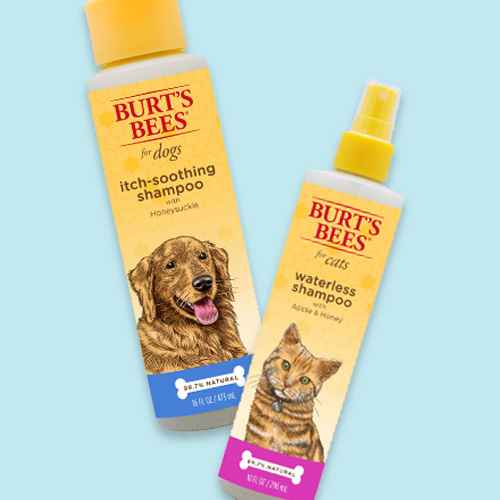 Burt's Bees Itch Soothing Shampoo with Honeysuckle for Dogs - 16 fl oz, Burt's Bees Waterless Shampoo with Apple and Honey for Cats - 10 fl oz
