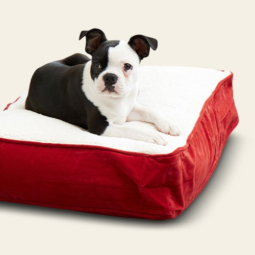 Kensington Garden Buster Rectangle Pillow Dog Bed - XS - Crimson