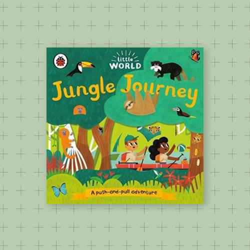 Jungle Journey: A Push-And-Pull Adventure - (Little World) by  Ladybird (Board Book)