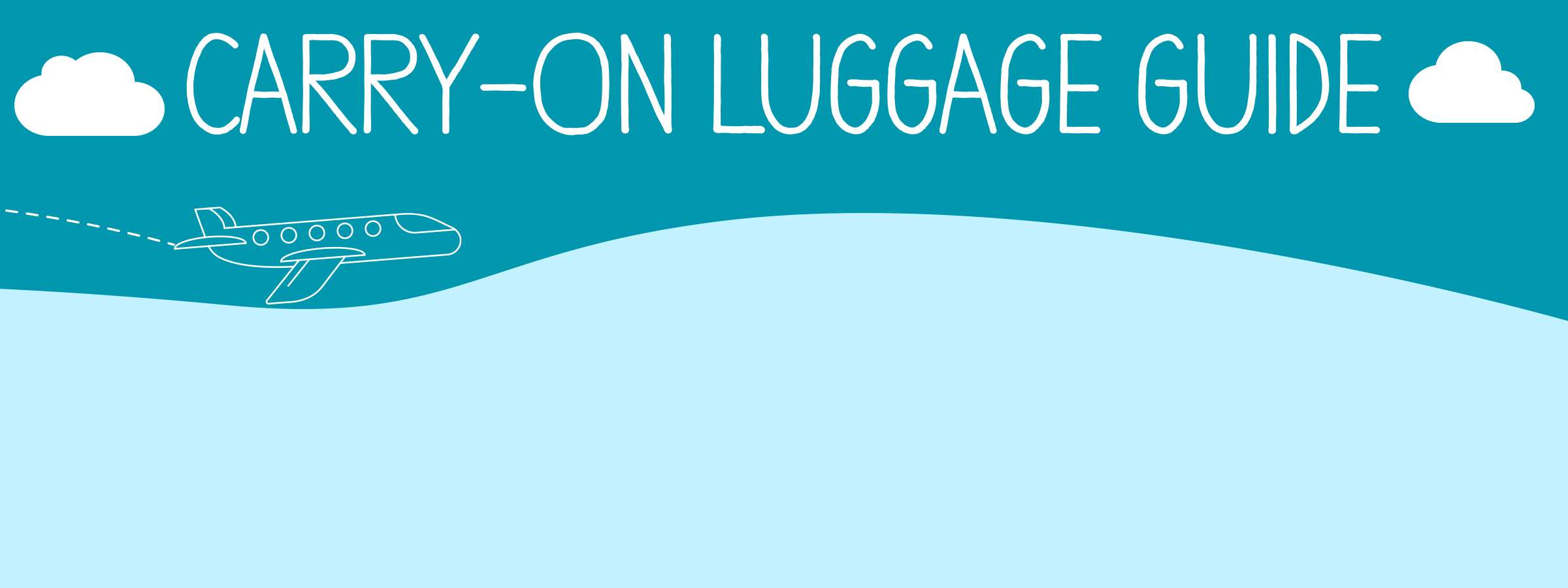 Carry on Luggage Target