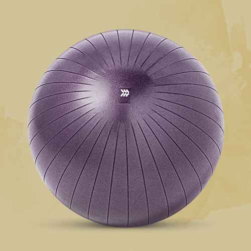 Stability Ball 65cm Purple - All in Motion™