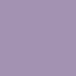 purple oasis / cold grey / vector blue