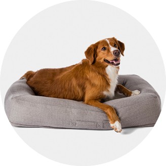 Dog Beds : Target