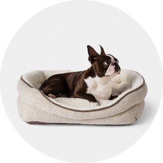 girl dog beds small dogs