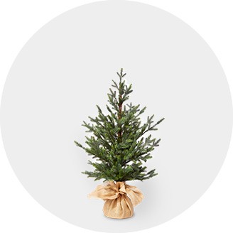 small decorated christmas trees for sale