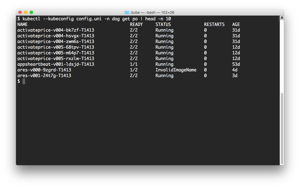 screenshot of a Terminal window running a Kubernetes cluster