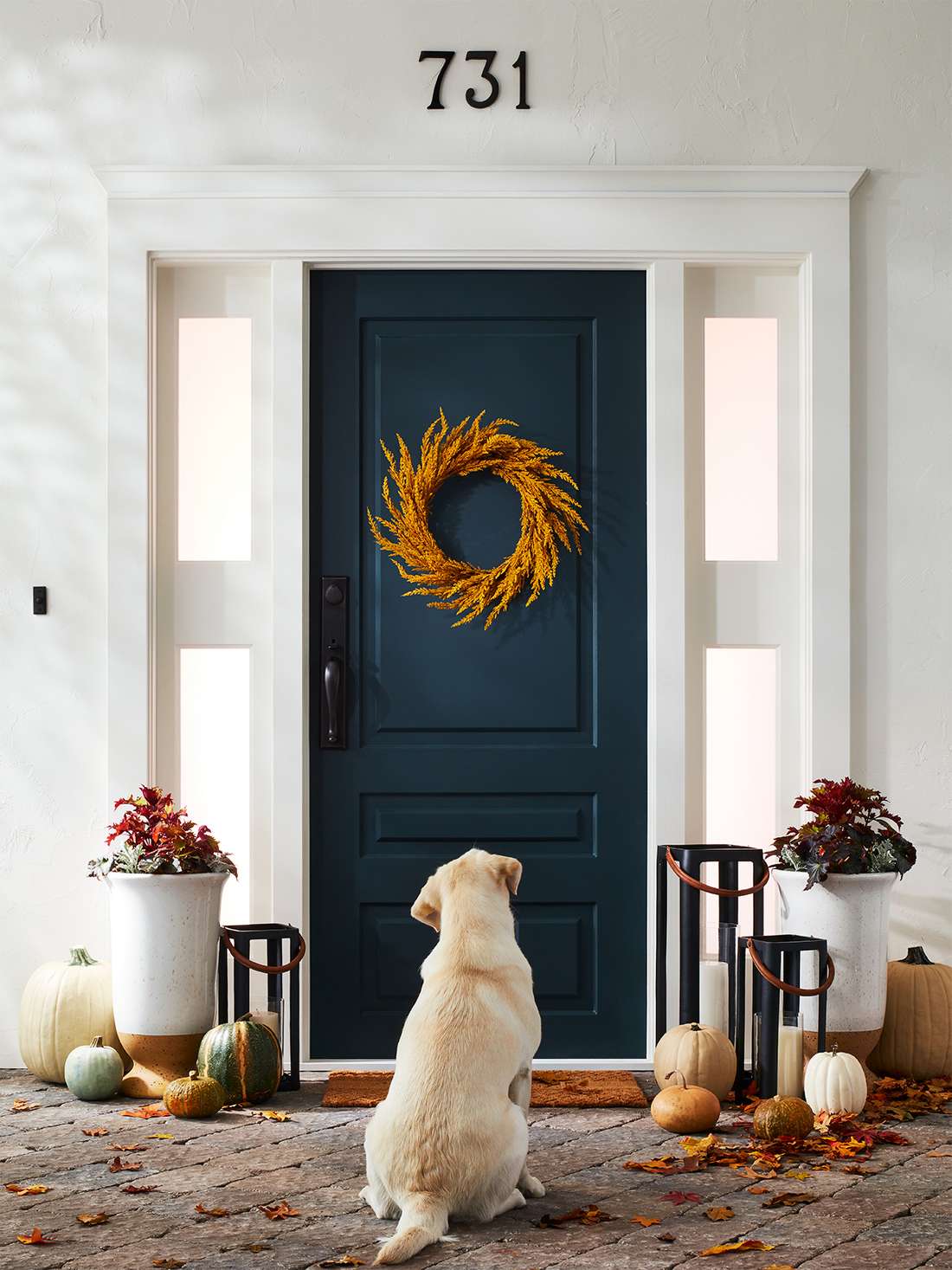 Fall Decor Ideas Target