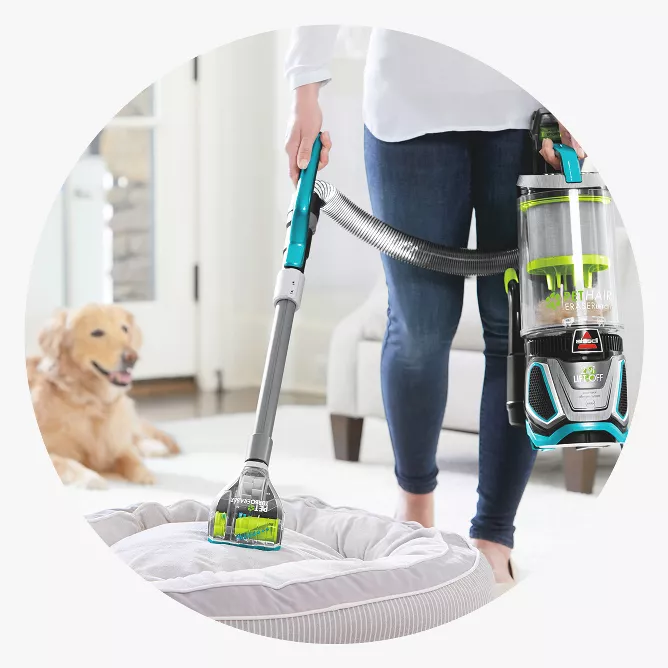 What Will Clean And Pick Up Dog Hair