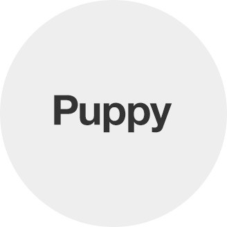 royal canin dog food target